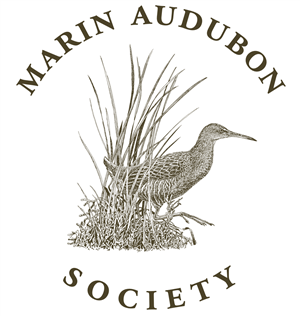 Marin Audubon Society Marin Audubon Society