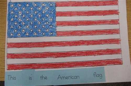 flag 